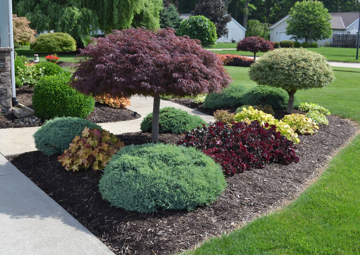 Landscape Design example 6