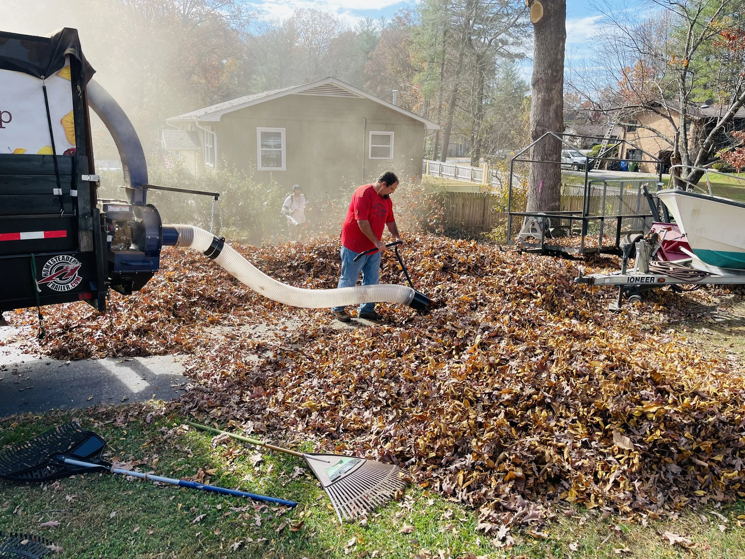 Leaf Removal