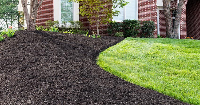 Mulch Installation example 1