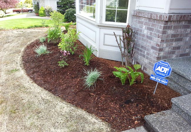 Mulch Installation example 2
