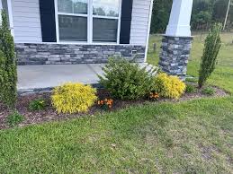 Tree & Shrub Planting example 4