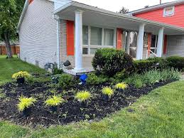 Tree & Shrub Planting example 5