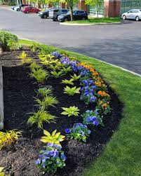 Tree & Shrub Planting example 6