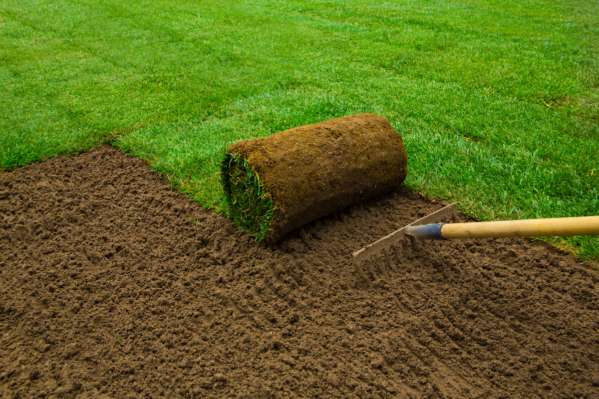 Sod Installation example 2