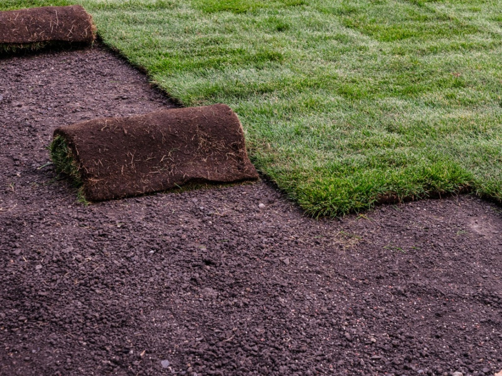 Sod Installation example 5